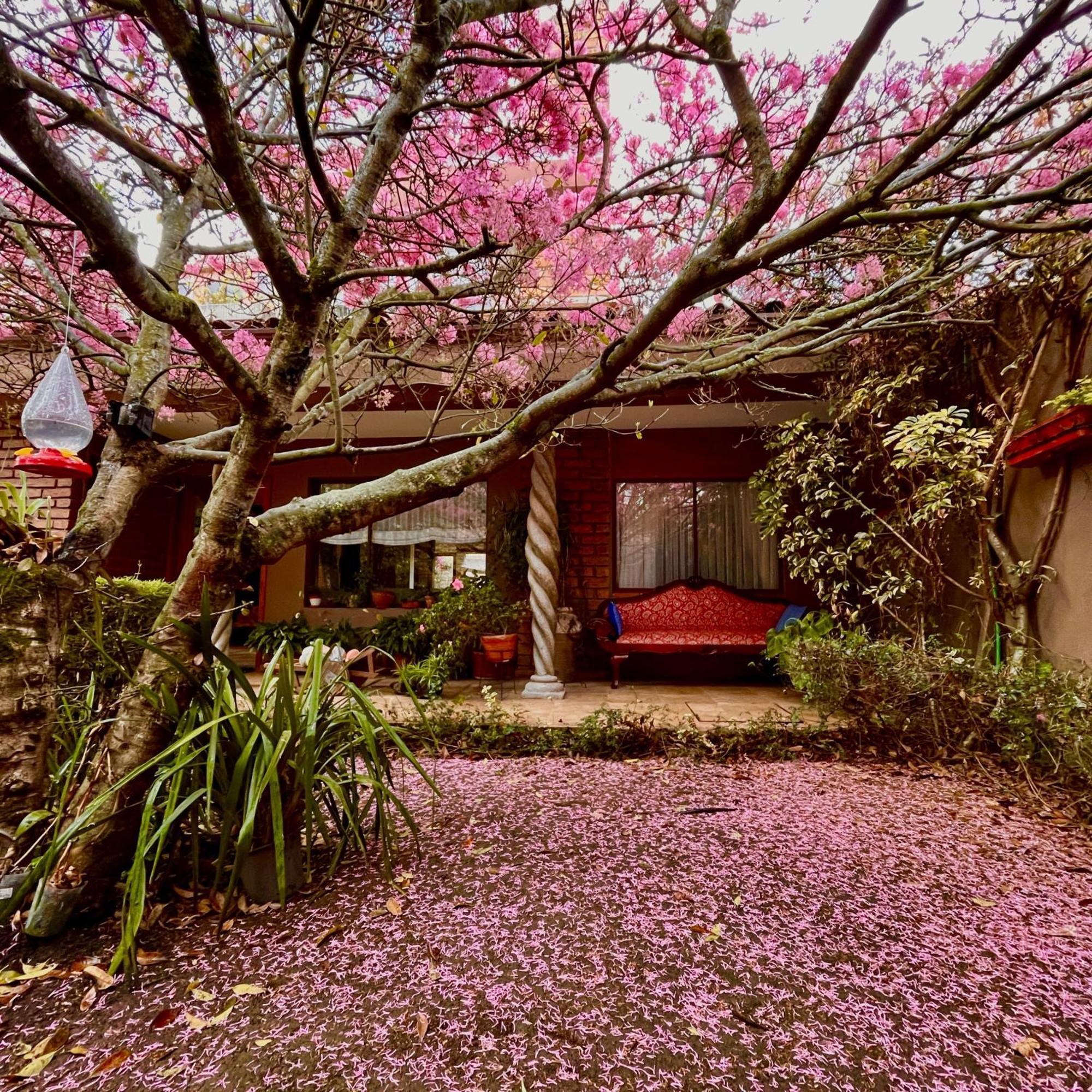 Casa Lloret Κουένκα Εξωτερικό φωτογραφία